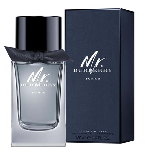 burberry for men indigo|burberry brit for men fragrantica.